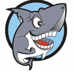 sharks rock