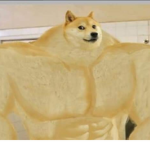 Biggest doge