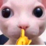 mdsmr