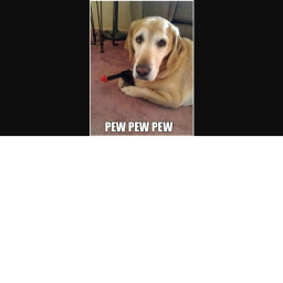 Meme game