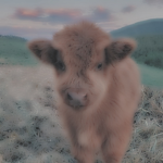 Opal’s Cow Clan