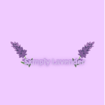 Lavender’s Official YT group!