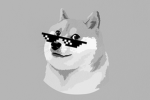 Doge Studios Group