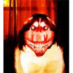Smile.dog fans