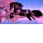Green leaves riding center