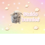 Studio bunnies