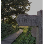 liminаl