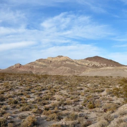 Middle of Nowhere, Nevada Desert icon