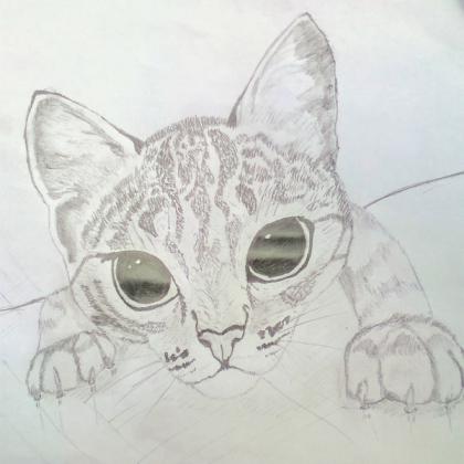 Cat Roblox decal