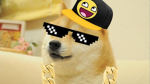Epic shiba group