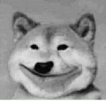 Chay le di Kyn