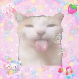 ♡🎀