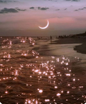.The Star Friends.