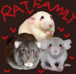 Rat Fam o ly