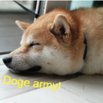 ~Doge United~