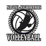 NagoyaNighthawks