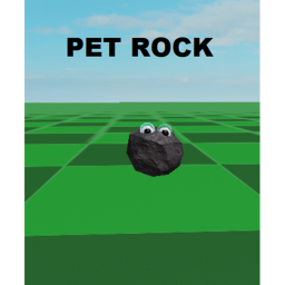 Pet Rocks