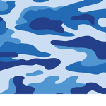 camovibez