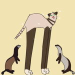 Ferrets!