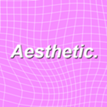 ~``Twins_ Aesthetic``~