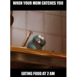 The Ratatouille Cult