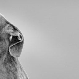 𝘁𝗵𝗶𝘀