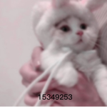 αϙυƚα