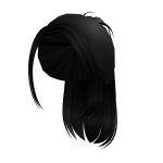 Black High Bun Ponytail 