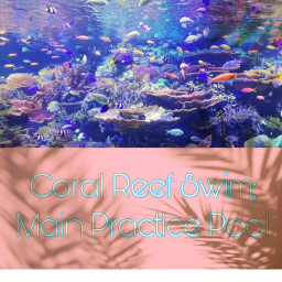 Coral Reef Main Pool