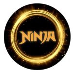 Veteran Ninja