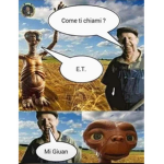 Susvs
