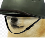 Doge Soilders