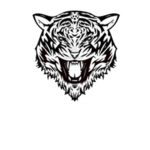 {>:Cosmic Tigers:<}