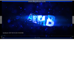 DEMB fans