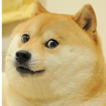 DA MEME #####