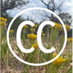 Comfort Colors