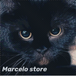 Marcelo lindo