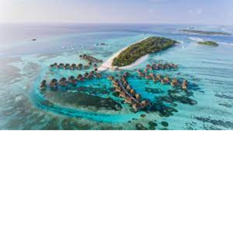 Beach Resort icon