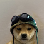 Doge Group taking down the bubba groups