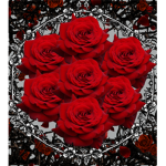 Ｒｅｄ Ｒｏｓｅｓ Ｂｌａｃｋ Ｓｐｉｎｅｓ