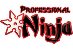 Professional Ninjas