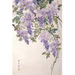 .*Wisteria*.