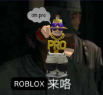 Pro 的 place