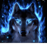 The wolf ########