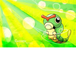 Caterpie lovers and fans! <3