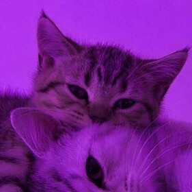 <3