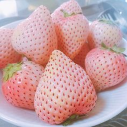 ੭ ̊ ̟ 🍓
