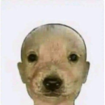 Grupo de robux para ganar