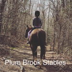 Plum Brook Stables