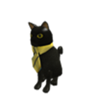Crazy Cat's for cat people
